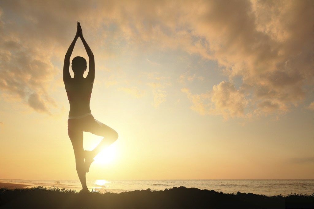 SHIMA YOGA