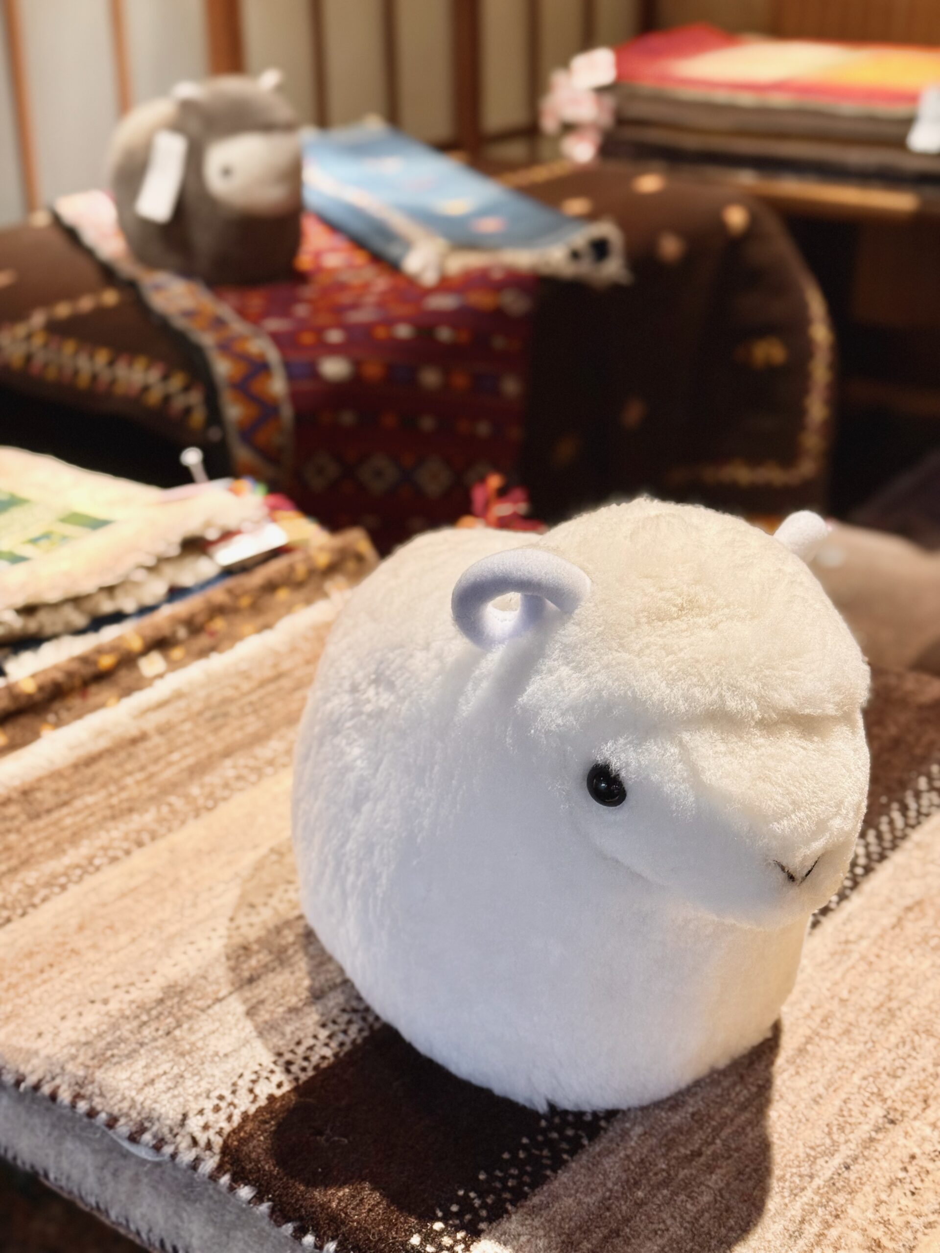 シルクロード手織絨毯展（明日から開催！！）